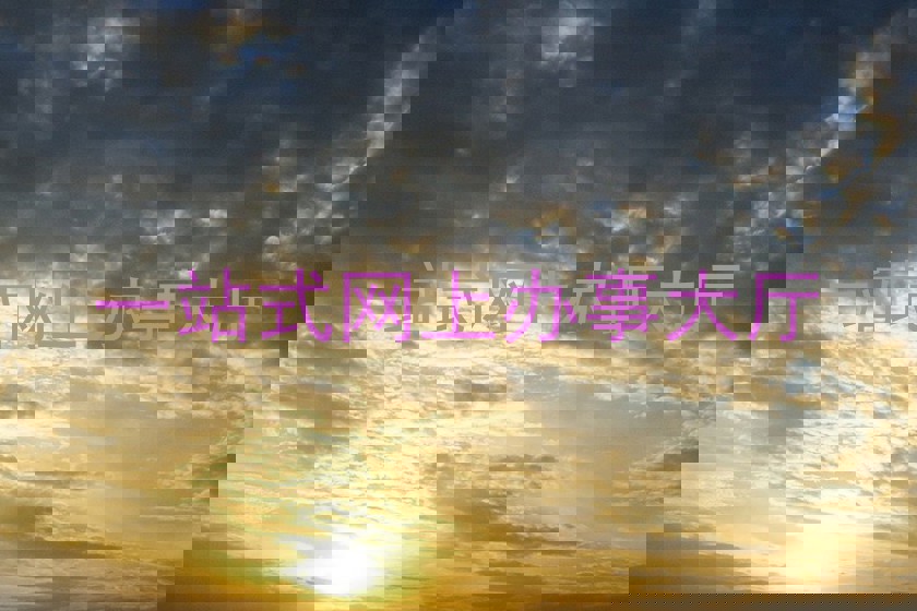 一站式网上办事大厅