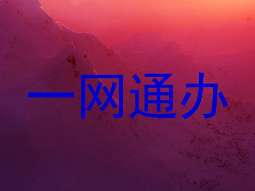 一网通办