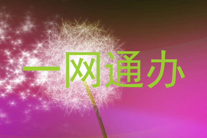 一网通办