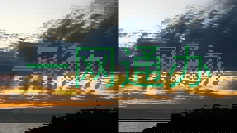 一网通办