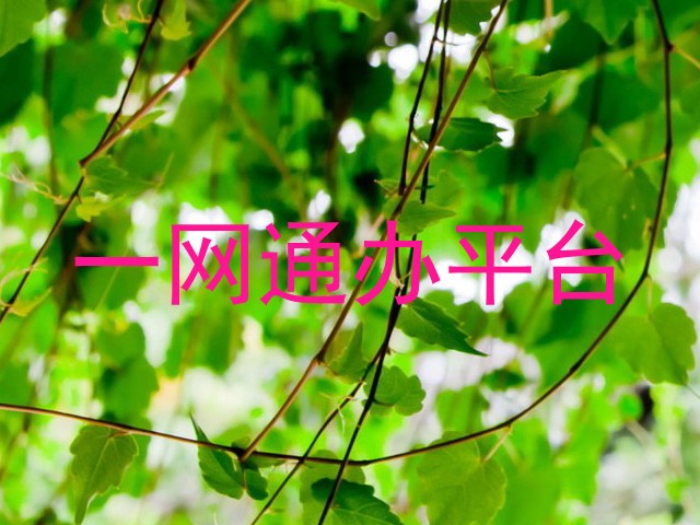 一网通办平台