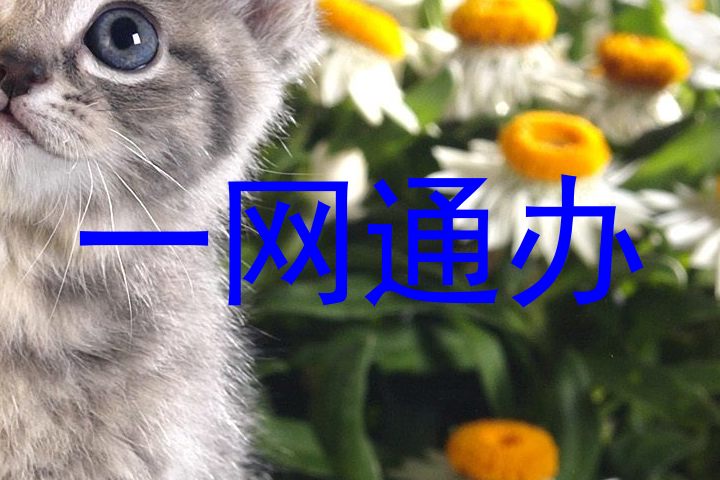 一网通办