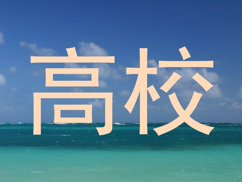 高校