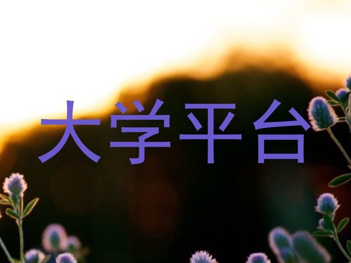 大学平台