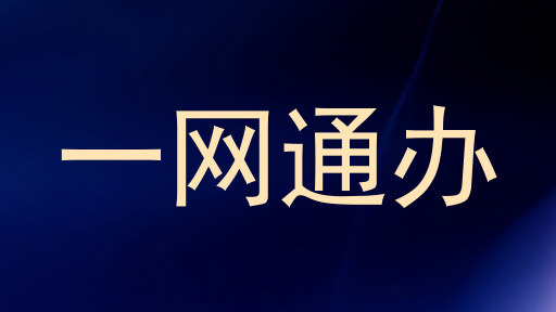 一网通办