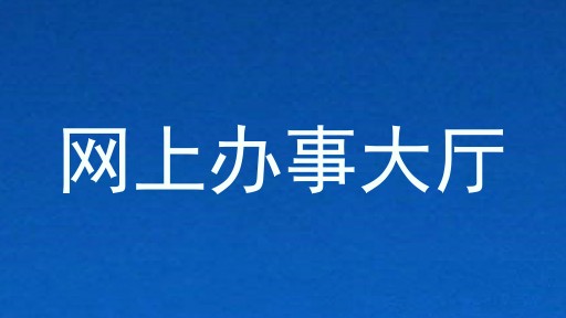 网上办事大厅
