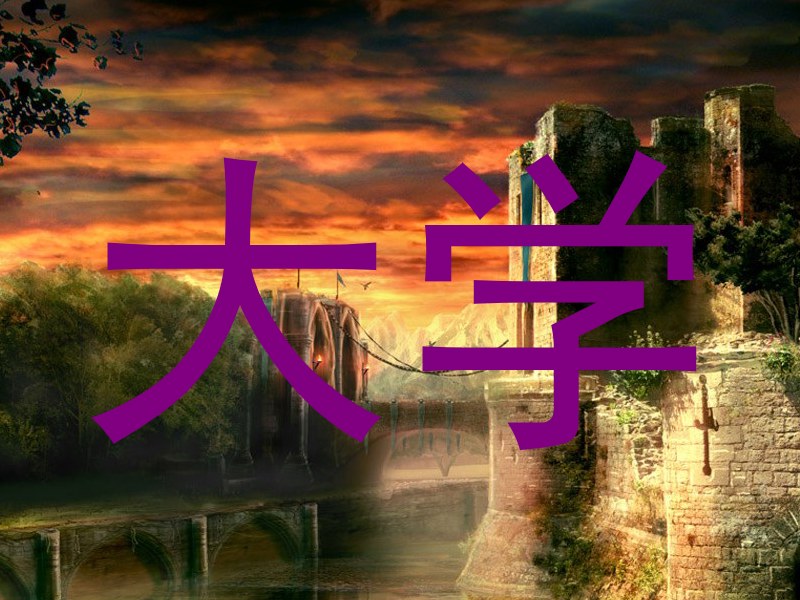 大学