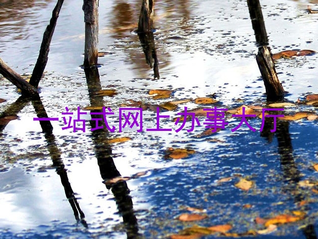 一站式网上办事大厅