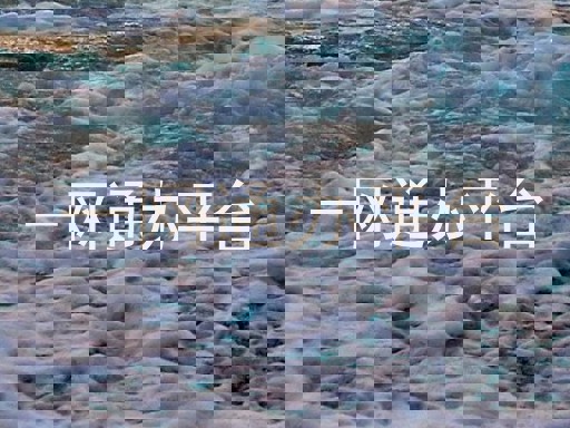 一网通办平台