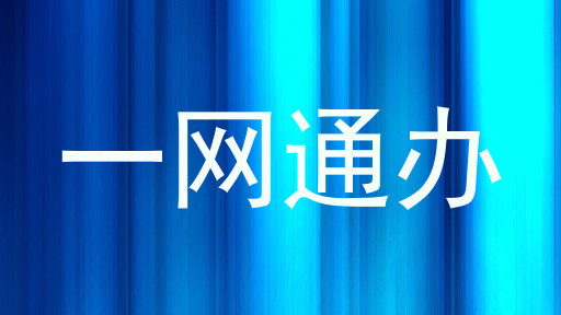 一网通办