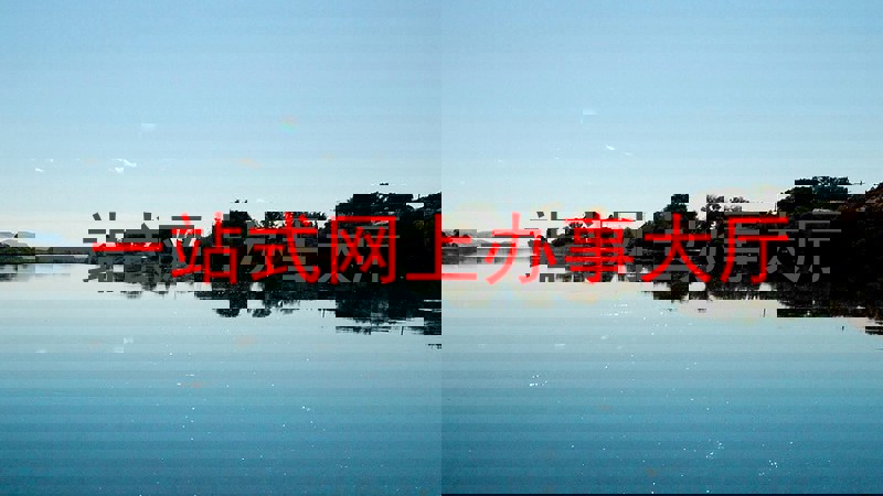 一站式网上办事大厅