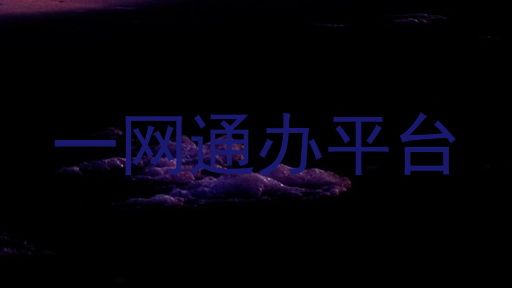 一网通办平台