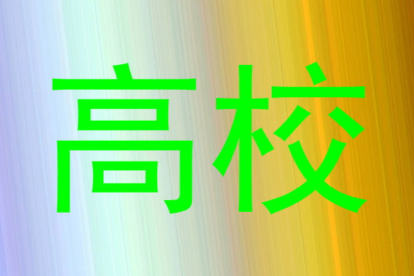 高校