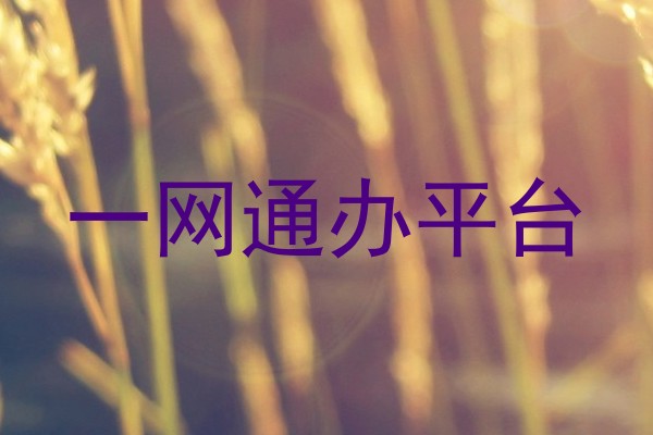 一网通办