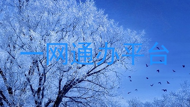 一网通办平台