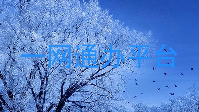 一网通办平台