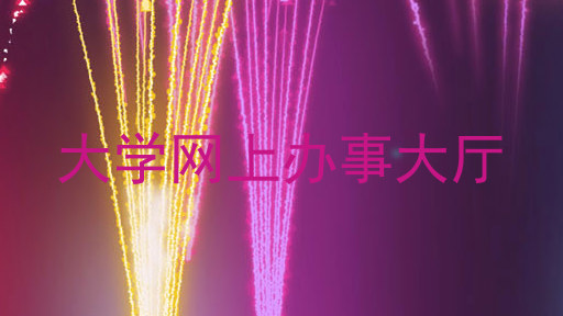 大学网上办事大厅