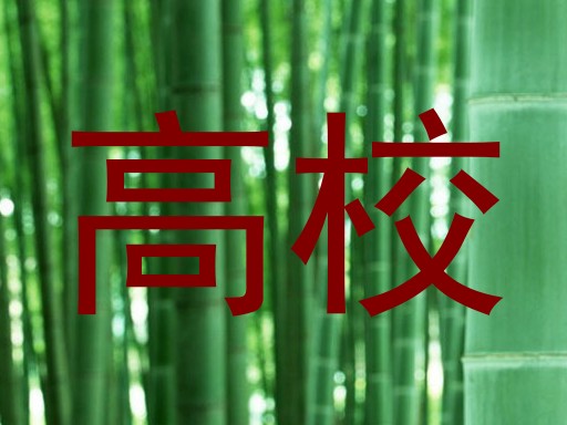 高校