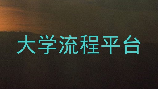 大学流程平台