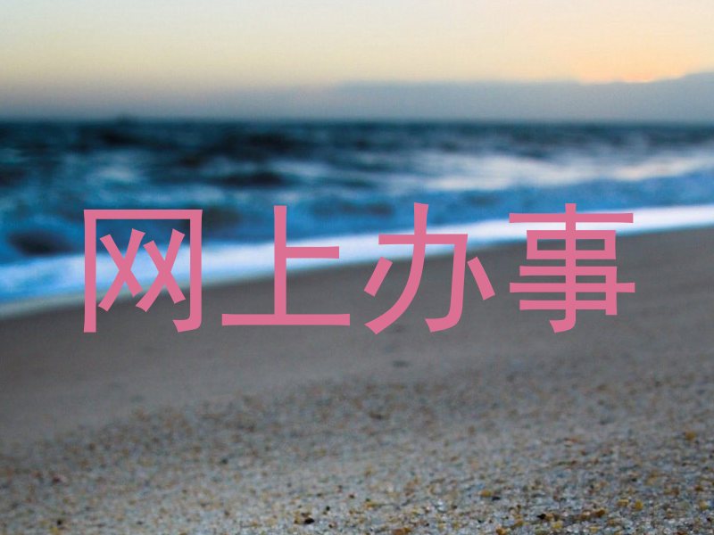 网上办事