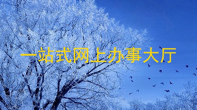一站式网上办事大厅