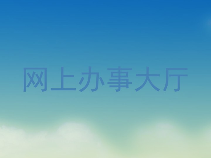 网上办事大厅