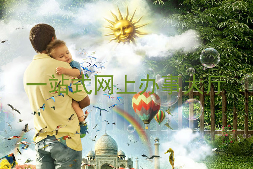 一站式网上办事大厅