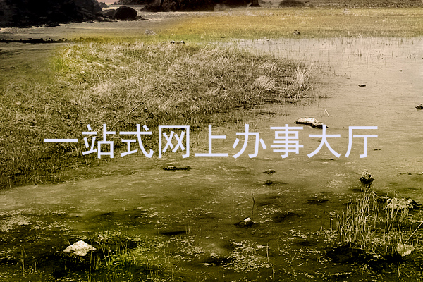 一站式网上办事大厅