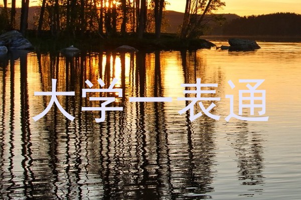大学一表通