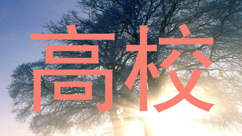 高校