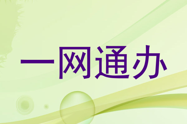 一网通办