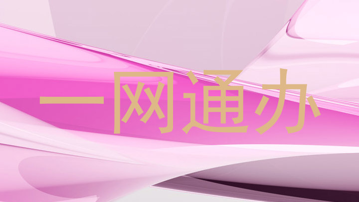 一网通办