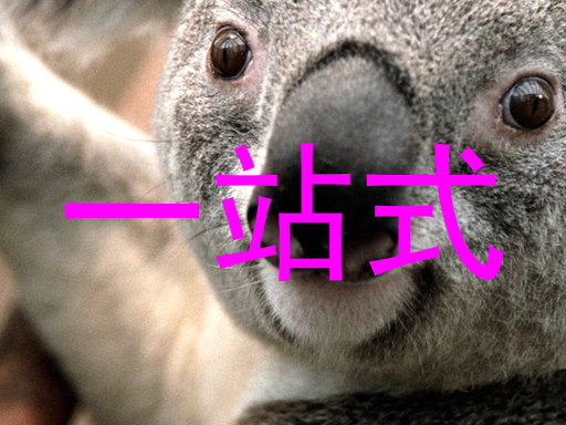 一站式