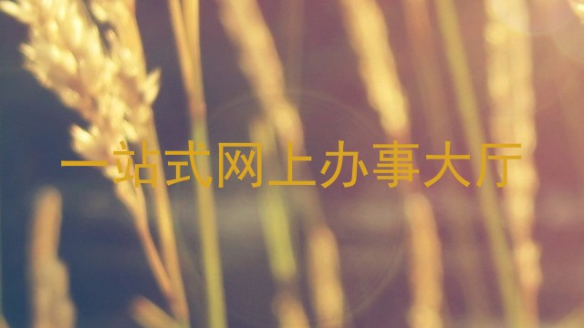 一站式网上办事大厅