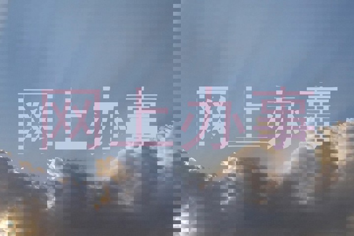 网上办事