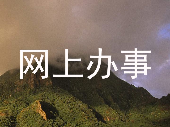网上办事
