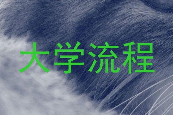 大学流程