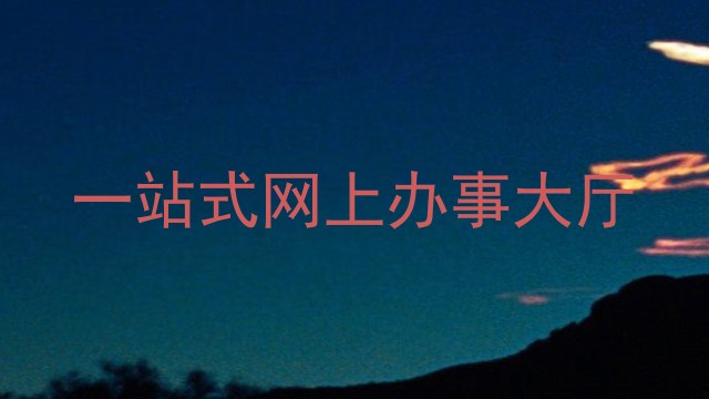 一站式网上办事大厅