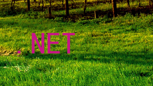 .NET