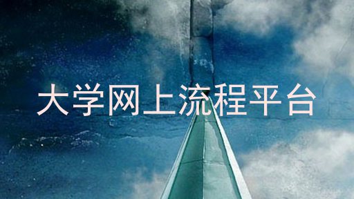 大学网上流程平台