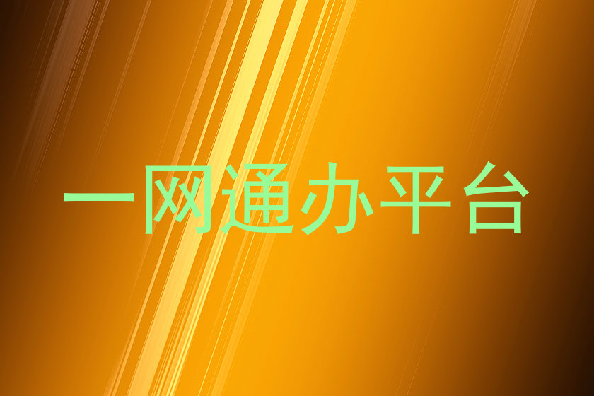 一网通办