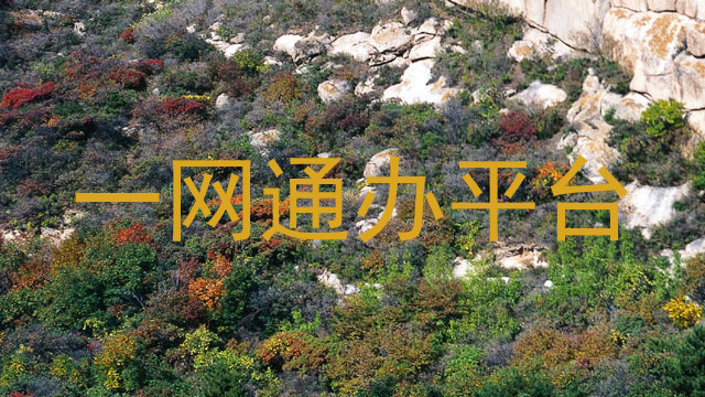 一网通办平台