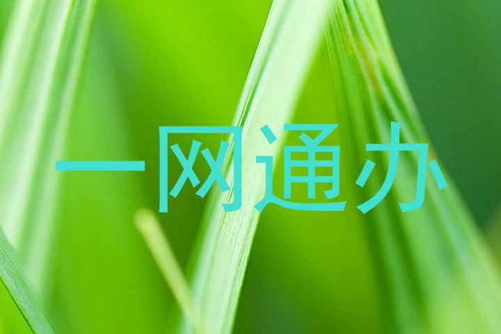 一网通办