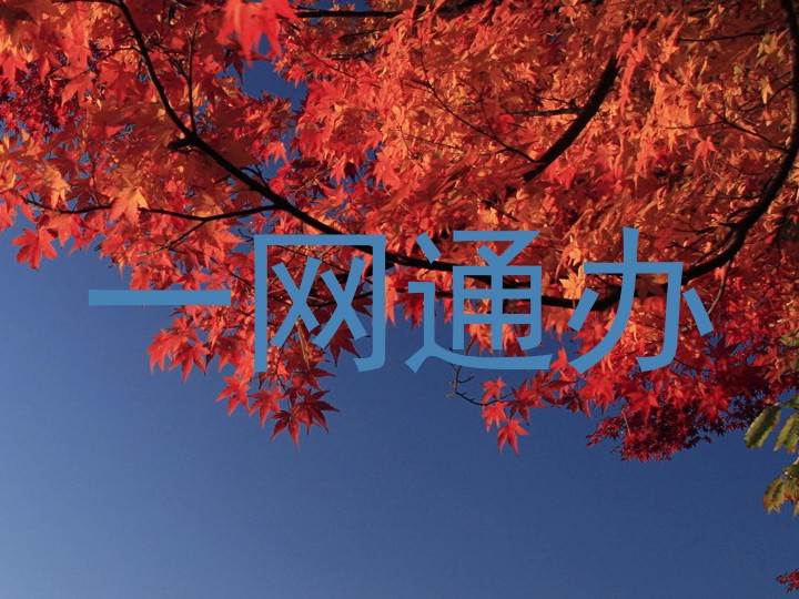 一网通办