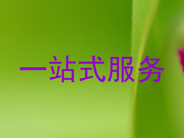 一站式服务