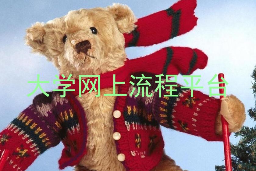大学网上流程平台