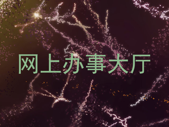 网上办事大厅