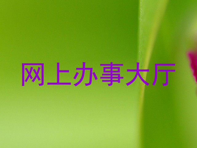 网上办事大厅