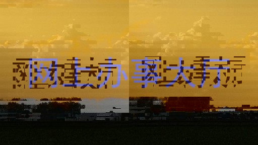 网上办事大厅