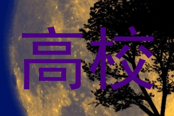 高校
